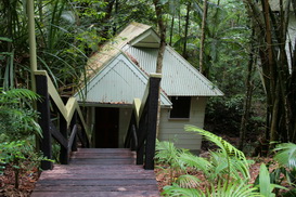 Daintree Eco Lodge