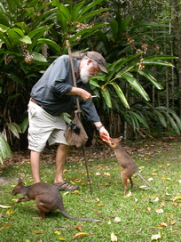 David, Australian Natural History Safari