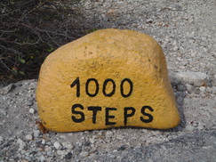1000 Steps